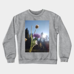 Thistle Crewneck Sweatshirt